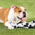 SHARLOVY Dog Squeaky Toys, 3 Pack No Stuffing Crinkle Plush Toys for Small Breeds and Puppies