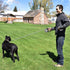 Heavy Duty Retractable Dog Leash - 16ft Strong & Durable Walking Leash for Dogs up to 45/115 lbs, Upgraded Lock System