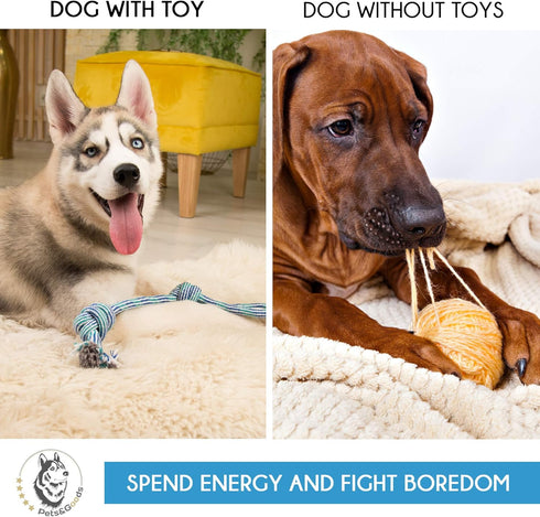 Dog Rope Toy for Active Chewers, Heavy Duty Washable 100% Cotton Chew Toys, Tug of War Toy, Pack of 9 for Small Breeds