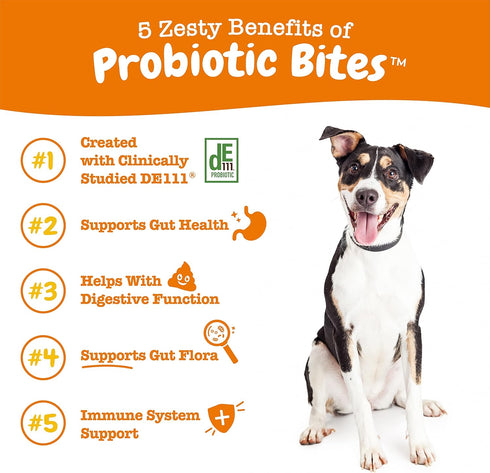 Zesty Paws Probiotics for Dogs - Digestive Enzymes for Gut Flora, Diarrhea & Bowel Support - 50 Count Soft Chew