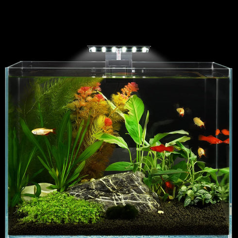WEAVERBIRD Aquarium Light, 6W LED Clip Lamp for 8-15 Inch Fish Tanks