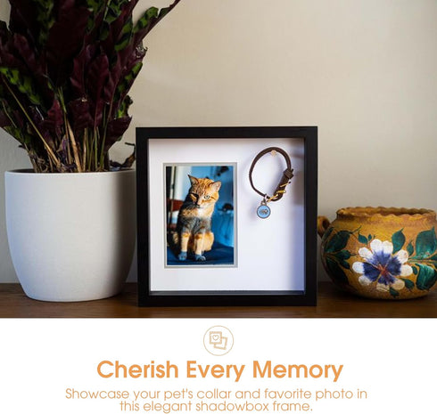 Pearhead Pet Collar Keepsake Picture Frame, Memorial Shadow Box, Wall Mountable Display for Pet Loss Remembrance,