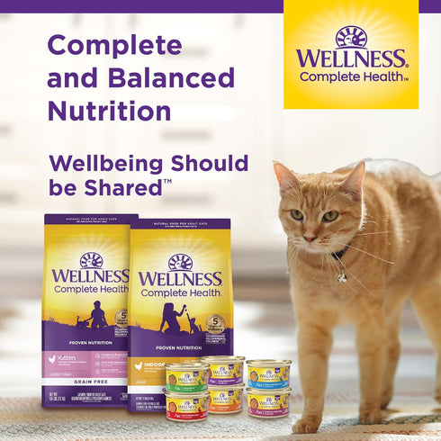 Wellness Complete Health Grain-Free Wet Canned Cat Food, 3-Ounce Can (Pack of 24) - Natural Ingredients, Turkey Dinner