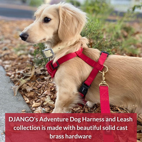 DJANGO Adventure Dog Leash, Strong and Comfortable with Padded Handle, Crimson Red