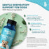 Kennel Cough Treatment & Dog Nasal Congestion Relief, Natural Dog Cough Suppressant, 400 Small Pills