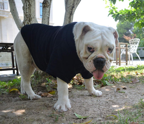 Lovelonglong Bulldog Blank T-Shirt, Dog Clothing Tee Shirts for French Bulldog, English Bulldog, American Pit Bull,