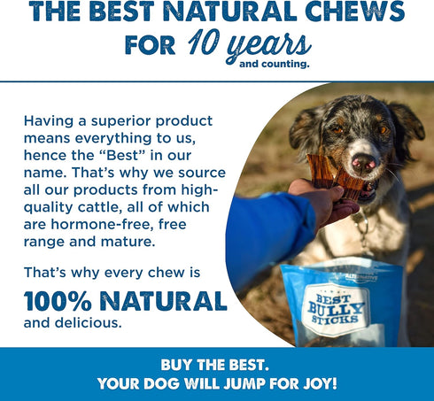 6-inch (25 Pack) Joint Jerky Dog Treats by Best Bully Sticks All Natural Beef Dog Treats