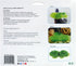 Penn-Plax Fish Breeding Grass, Baby Hideout for Fry, Plastic Aquarium Plants, 2 Pieces