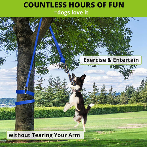 Dog Hanging Bungee Tug Toy - Interactive Tether Tug-of-War for Small to Large Dogs - Outdoor Tree Tugger with Ropes