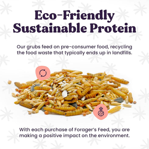Sustainable Insect Protein Dog Treat for Canine Health, Pumpkin and Goji Berry Flavor, 6 Oz Resealable Bag