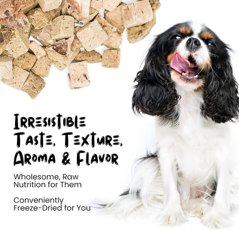 Freeze Dried Lamb Liver Treats for Cats & Dogs, Single Ingredient, Grain-Free, Made in USA