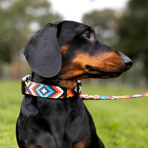 CollarDirect Aztec Dog Collar, Adjustable Nylon Tribal Pattern Pet Collar for Small Medium Large Dogs (Aztec Sunset)