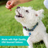 DOGSWELL Jerky Treats for Dogs, Skin and Coat Salmon Recipe, 18 oz.