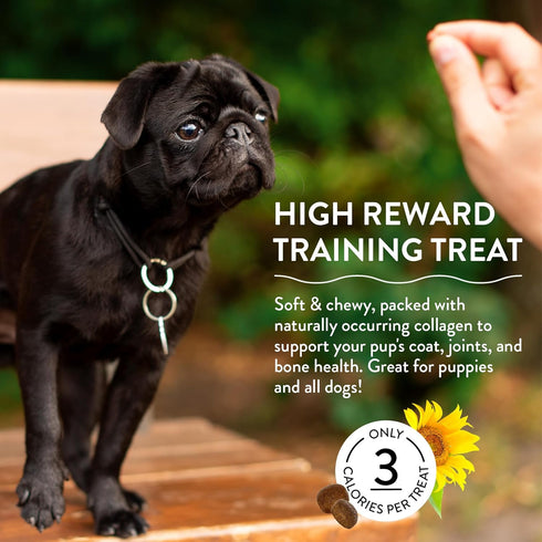 Shameless Pets Dog Training Treats - Bone Broth Chews (Bacon Hits Different) for Healthy Puppy Training