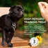 Shameless Pets Dog Training Treats - Bone Broth Chews (Bacon Hits Different) for Healthy Puppy Training