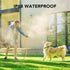 DOG CARE Dog Training Collar with Remote, 1800FT Rechargeable Dog Bark Collar with Beep Vibration Shock Modes, Rainproof