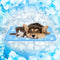 Rywell Super-Absorbent Cooling Mat for Dogs 24"x18" Arc-Chill 3.0 & Color-Changing Dog