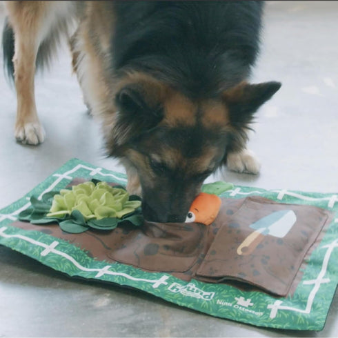 2 Outward Hound by Nina Ottosson Activity Matz Garden Game Plush Dog Puzzle Mat Dog Enrichment Dog Toy, Level