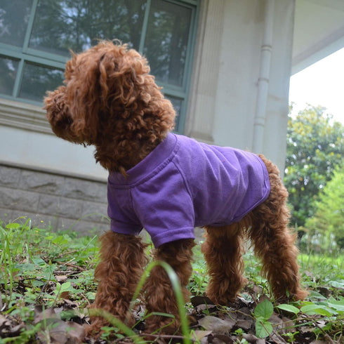 Lovelonglong 2019 Pet Clothing - Basic Blank T-Shirt for Small Dogs, Purple, Size L