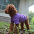 Lovelonglong 2019 Pet Clothing - Basic Blank T-Shirt for Small Dogs, Purple, Size L