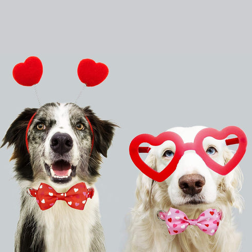 Valentine's Day Dog Collar with Bow Tie, Cute Holiday Collar for Medium Dogs, Boys, Girls, Puppy Pets.