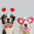 Valentine's Day Dog Collar with Bow Tie, Cute Holiday Collar for Medium Dogs, Boys, Girls, Puppy Pets.
