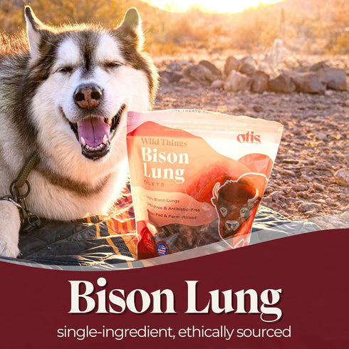 OTIS Bison Lung Filets for Dogs, Protein Packed, Pasture-Raised, Grass-Fed Healthy Dog Treats, 4 Ounce Bag