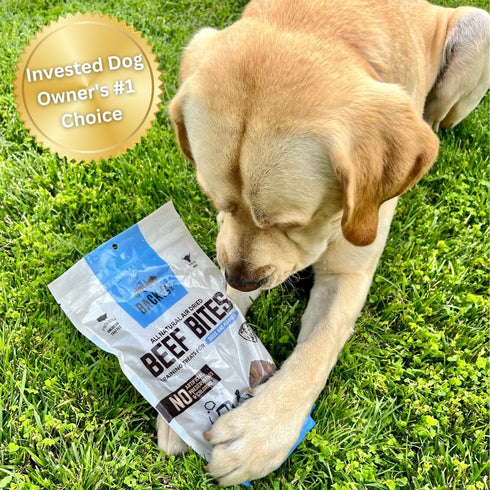 Beef Bites: All Natural Premium Air Dried Dog Training Treats, High Protein Dog Food Toppers, 16oz
