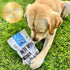 Beef Bites: All Natural Premium Air Dried Dog Training Treats, High Protein Dog Food Toppers, 16oz