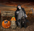 Rypet Dog Bat Costume - Halloween Pet Costume with Bat Wings for Party, M
