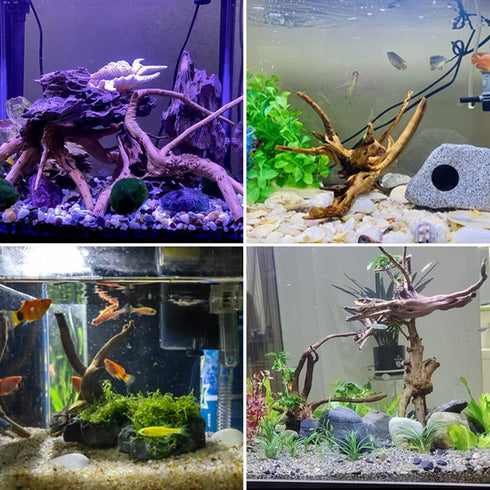 kathson 4Pcs Aquarium Driftwood, 3.5"-7" Small Natural Wood Decoration for Fish Tank Ornament