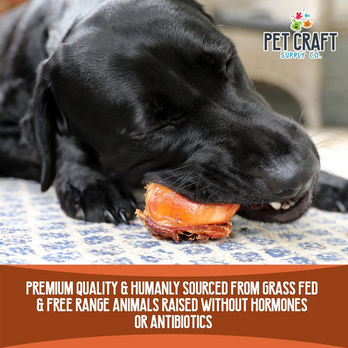 Pet Craft Supply USA Made Meaty Beef Knee Caps Bones, 10-Pack, Dog Treats for Aggressive Chewers