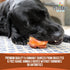 Pet Craft Supply USA Made Meaty Beef Knee Caps Bones, 10-Pack, Dog Treats for Aggressive Chewers