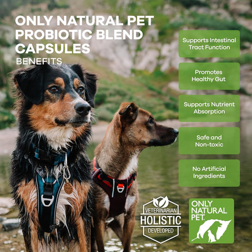 Only Natural Pet Probiotic Dog and Cat Supplement, Digestive & Intestinal Tract Health, 90 Capsules