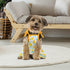 4 Pieces Pet Clothes Set - 2 Cute Pet Dresses & 2 Breathable T-Shirts for Medium Dogs (Pineapple, Sunflower)