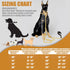 Dog Chain Collars Gold Dog Collar 10mm Cuban Link with CZ Diamond Buckle Bling for Puppy Small Medium Large Dogs (24")