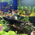 Tfwadmx Aquarium Driftwood Decorations Natural Wood Branches 6-10" Fish Tank Decor Assorted Size Trunk Reptile Habitat Terrarium Ornament(4 Pcs)