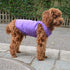 Dog Clothing Blank T-Shirt Tanks Top Vests for Small Medium Large Dogs, 100% Cotton Summer Vest (M, Purple)