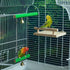 Natural Wood Bird Perches for Cage, Platform Swing, Nail Trimming Paw Grinding Stick for Parakeet Cockatiels Parrot