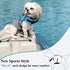 VIVAGLORY Sports Style Dog Life Vest, Life Jacket for Swimming & Boating, XS, Blue
