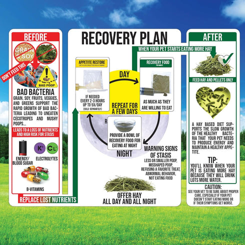 Sherwood Pet Health Rabbit Emergency Kit and Bulk Recovery Food (Small Kit)