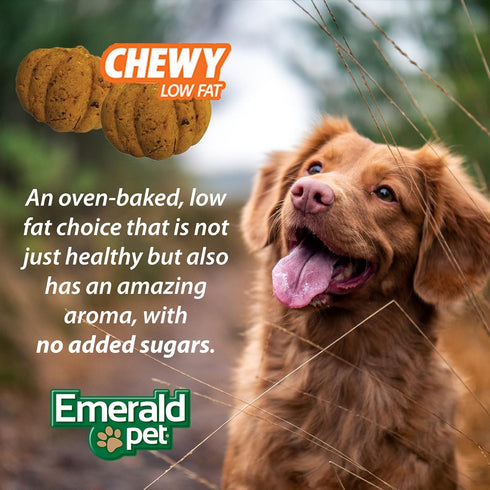 Emerald Pet Pumpkin Harvest Dog Treats - Low-Fat Chewy Natural Treats for Digestive Health, 6 oz