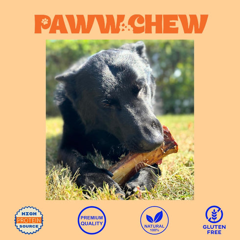 100% 7-8 (3 Pack) PAWW CHEW Natural Dog Bones, Single Ingredient inc Made in USA, Extra Large, Grass-Fed Beef Marrow