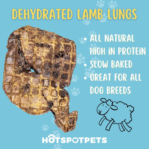 Hotspot Pets Premium Lamb Lung Dog Treats - 1lb Big Bag, All-Natural, High Protein, Made in USA