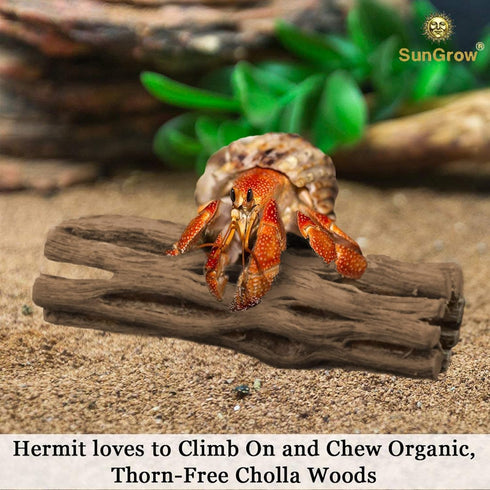 SunGrow 3 Pcs Hermit Crab Woods Climbing Logs & Chews, Long Dried Aquarium Décor Keeps Hermies Active