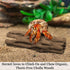 SunGrow 3 Pcs Hermit Crab Woods Climbing Logs & Chews, Long Dried Aquarium Décor Keeps Hermies Active