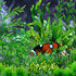 25pcs Green Aquarium Decorations, Fish Tank Plants, Plastic Decor, Fish Tank Accessories, Aquarium Decor