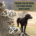 DogBone Shed Dog Training System, Hunting Dog Accessories, Training Kit, Scent Training Tools for Dogs