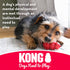 KONG Dental Chew Toy with Rope, Medium Dogs, Stuffable, Durable Natural Rubber, Cleans Teeth & Gums