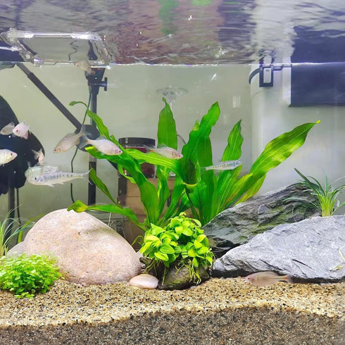 5 lbs Aquarium Sand, 0.6-1.2 mm Substrate for Freshwater Fish Tank, Decorative Gravel for Plants, Fire Pits, Crafts